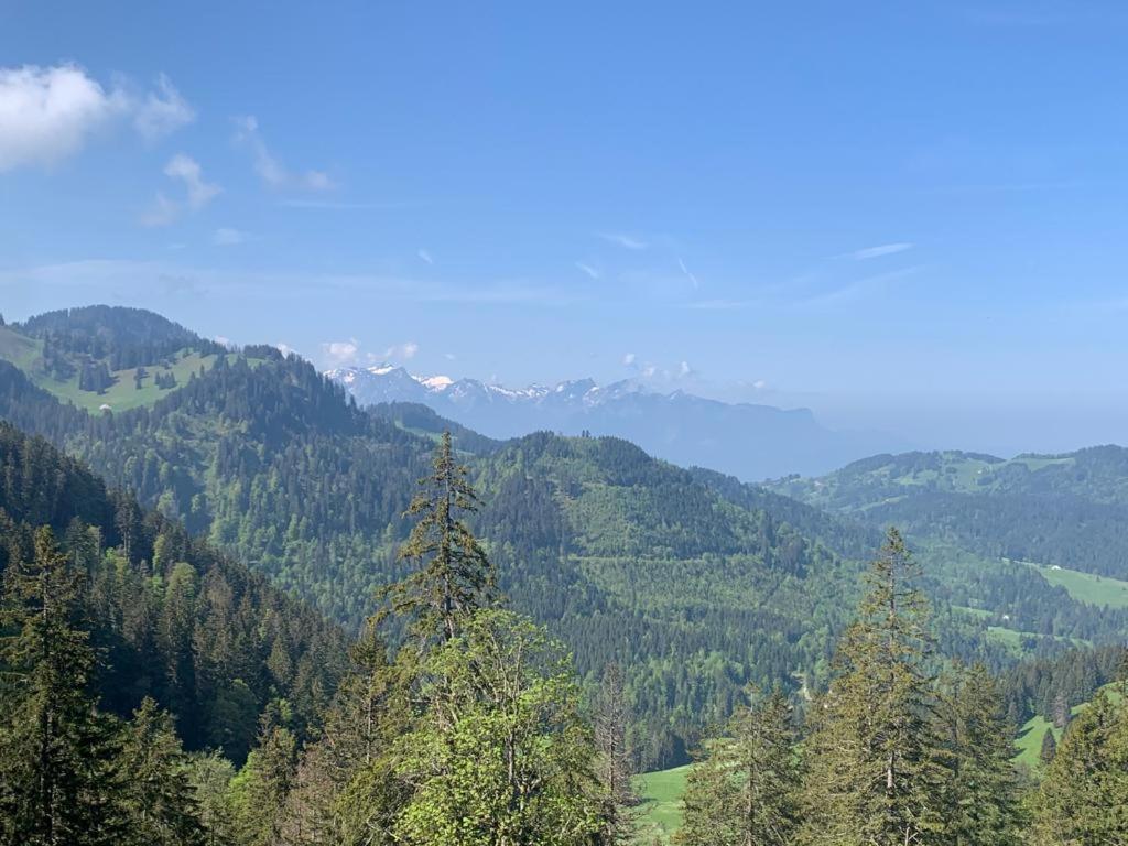 Boutique Hotel Corbetta - Spa 60M2 - La Montagne A 5 Minutes De L'Autoroute A12 Aux Paccots Sur Montreux - Nouveau Loft Familial - Profitez Du Lac Leman Et Des Montagnes En Meme Temps Les Paccots Exterior photo