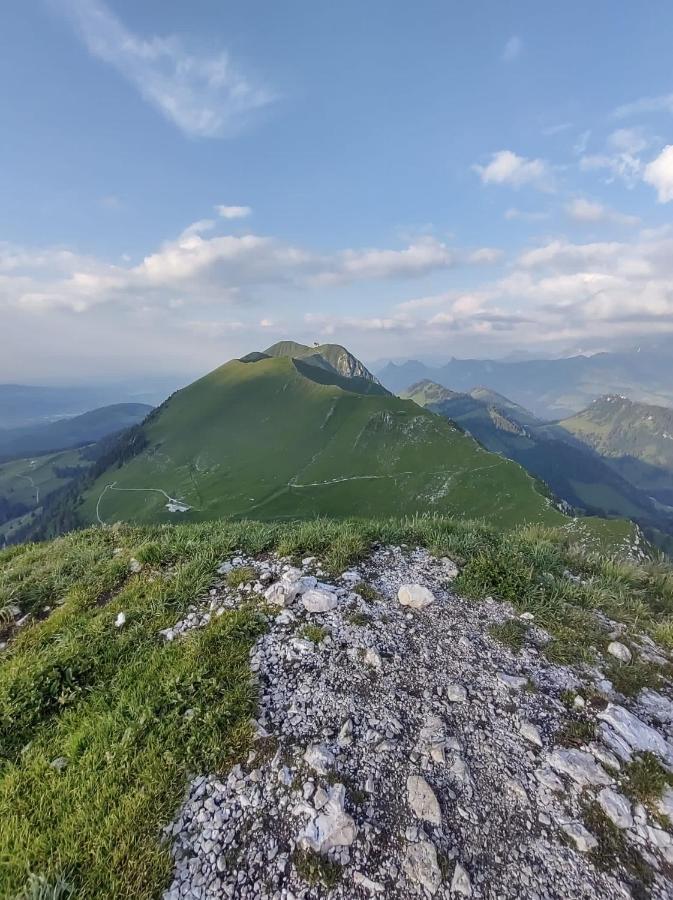 Boutique Hotel Corbetta - Spa 60M2 - La Montagne A 5 Minutes De L'Autoroute A12 Aux Paccots Sur Montreux - Nouveau Loft Familial - Profitez Du Lac Leman Et Des Montagnes En Meme Temps Les Paccots Exterior photo